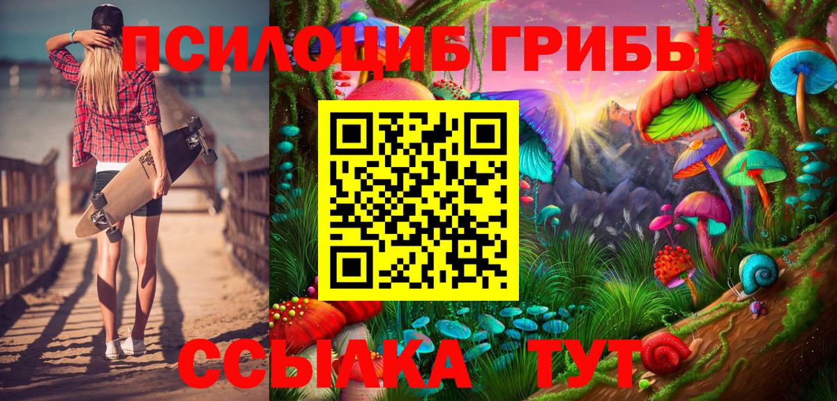 Псилоцибиновые грибы Cubensis Луга